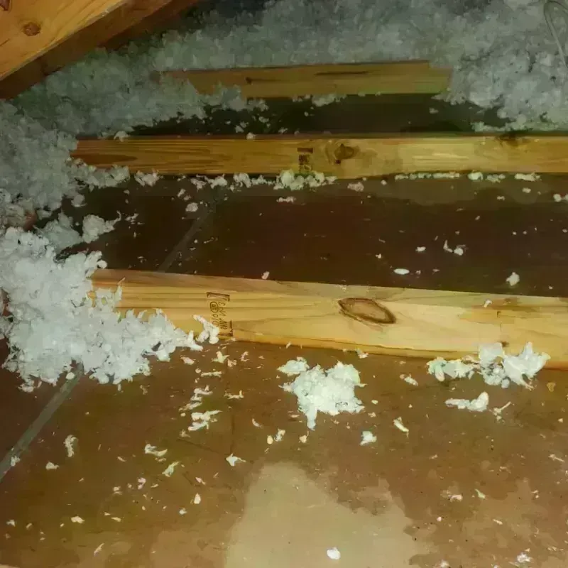 Attic Water Damage in China Lake Acres, CA