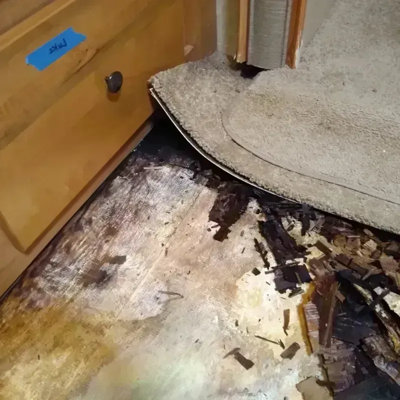 Best Wood Floor Water Damage Service in China Lake Acres, CA